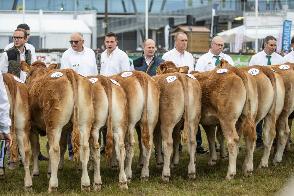 Walloon farmer's fair forced to pay back almost €850,000 in expenses