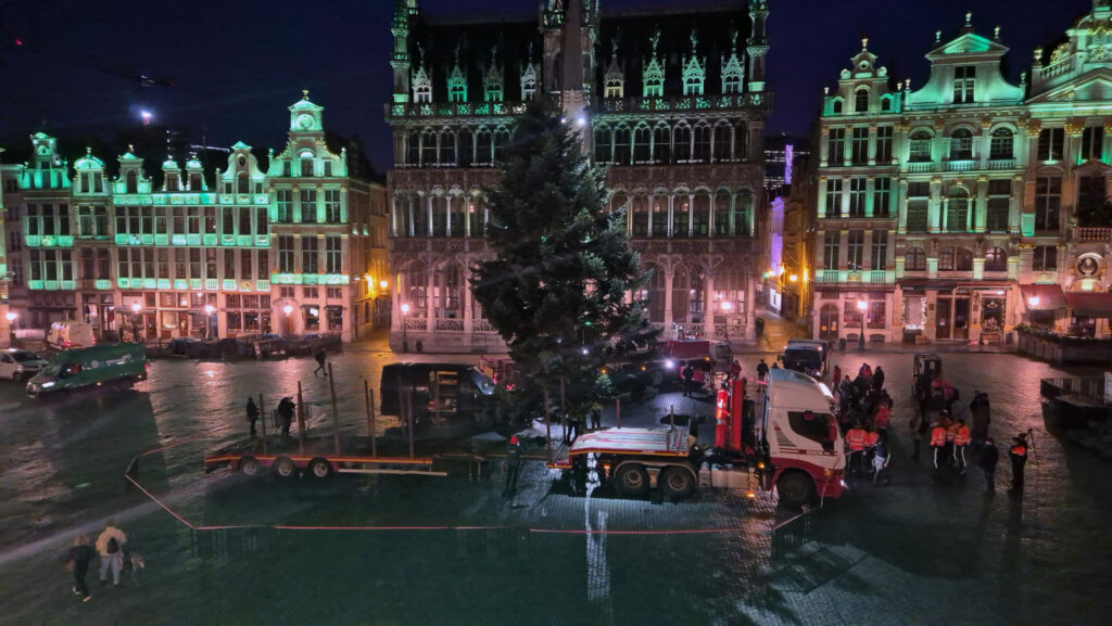 Brussels Christmas tree arrives at Grand Place