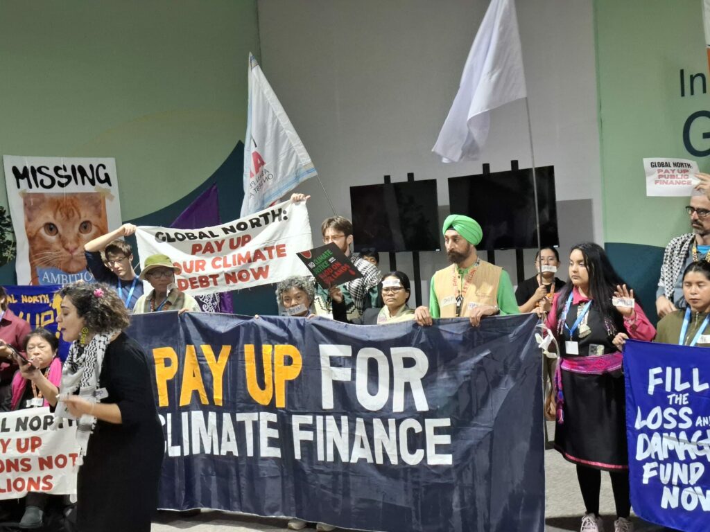 COP29 deal: $300 billion in climate financing for developing countries by 2035