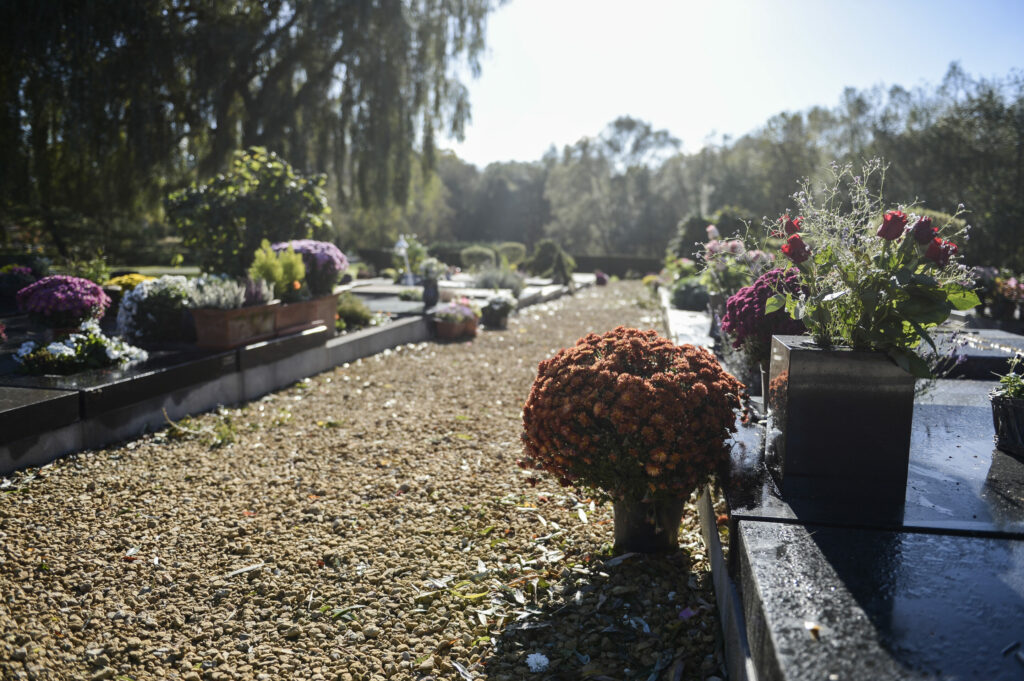 Rising number of Belgians donating organs after death