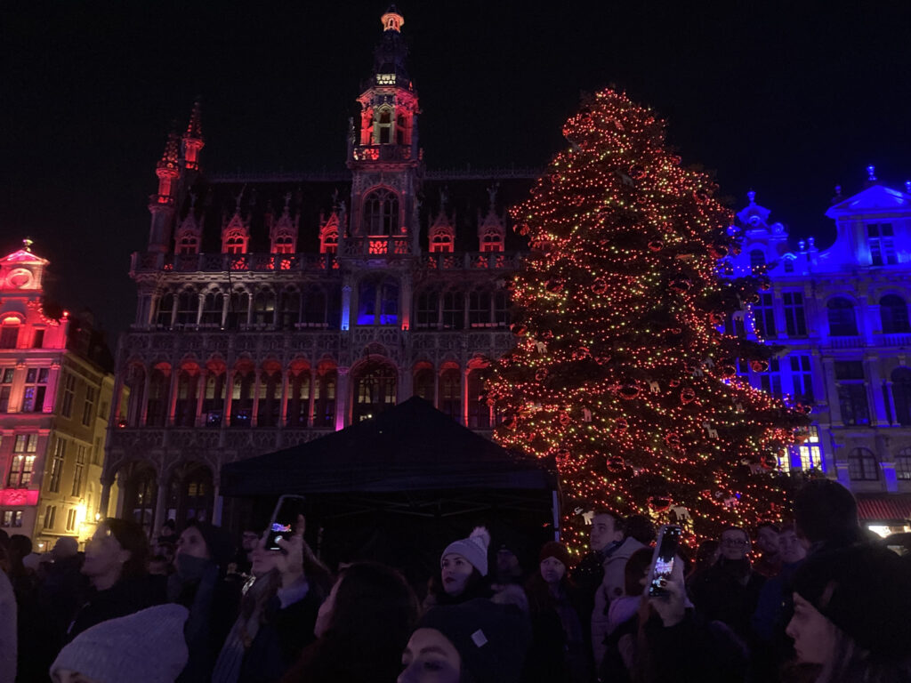 Brussels' Winter Wonders Christmas market kicks off