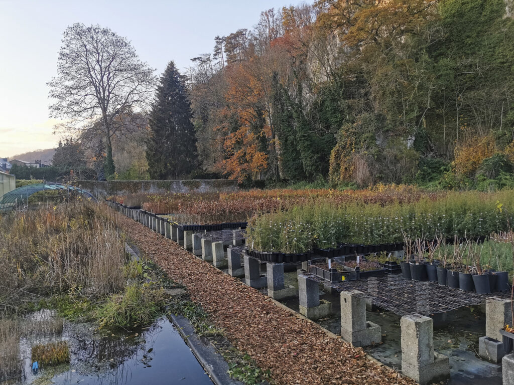 Wallonia's new government to slash biodiversity budget by 75%
