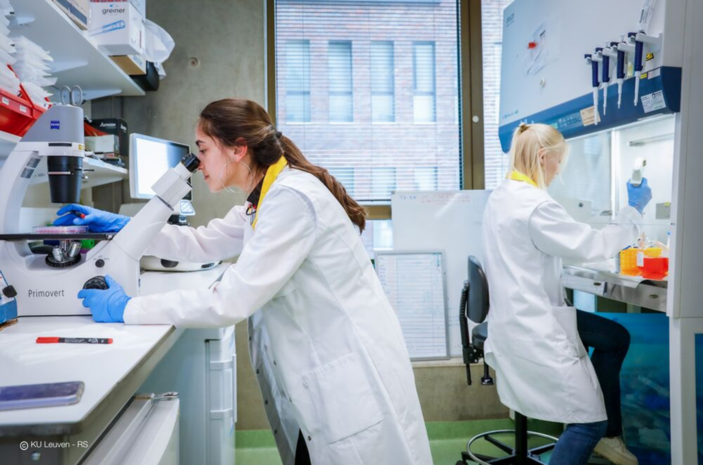 KU Leuven researchers find drug to treat severe malaria