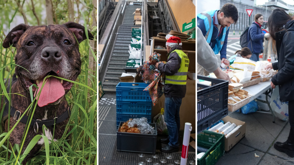 Goodwill to all: Where can you volunteer in Brussels during the holidays?