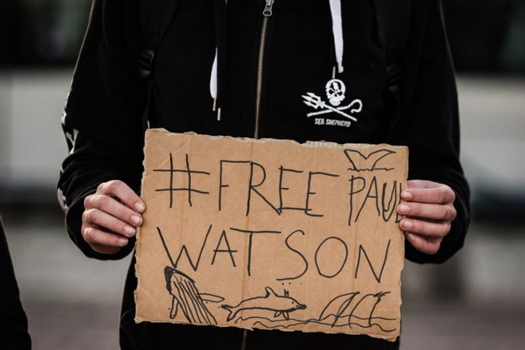 Paul Watson to be freed as Denmark will not extradite activist, says lawyer