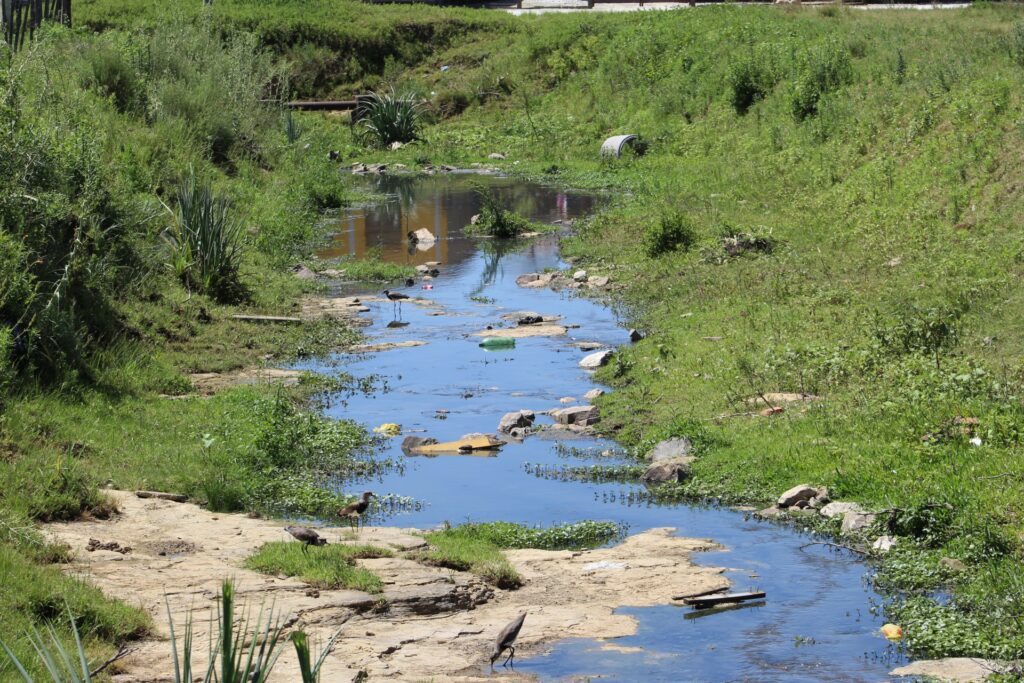 Europe's rivers highly vulnerable to PFOS pollution, report shows