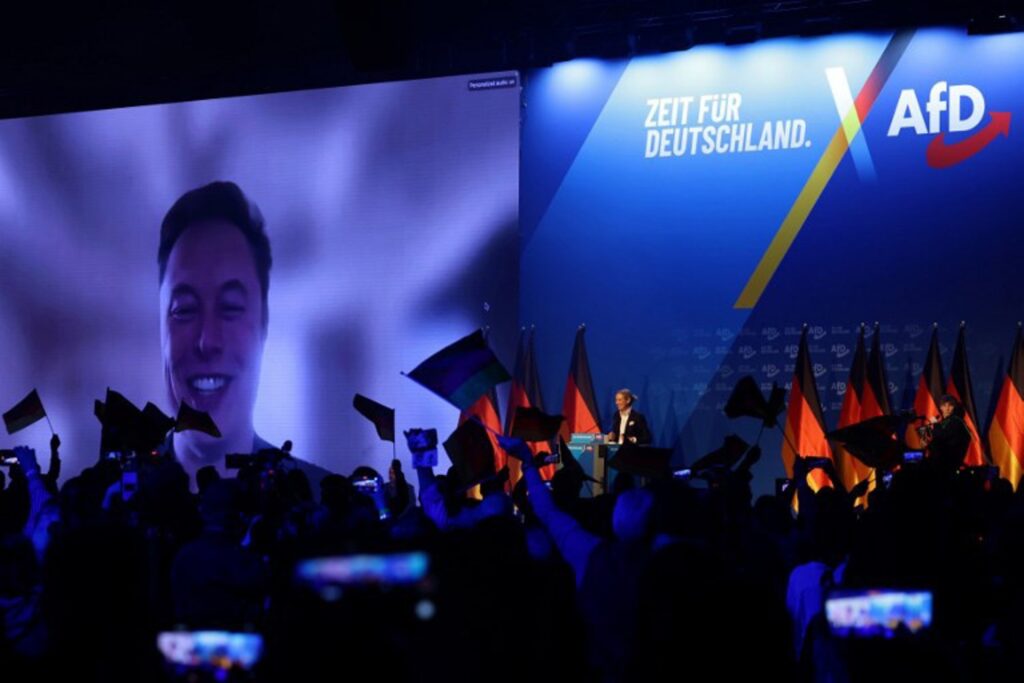 Germany's AfD party confirmed as 'right-wing extremist'