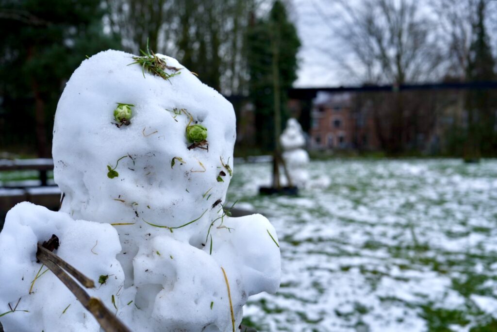 Cold and grey Saturday forecast across Belgium