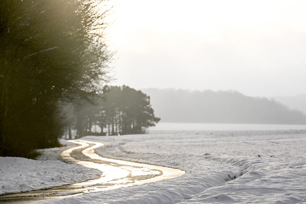 Belgium to be covered in frost over next few nights