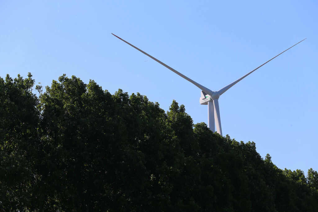 More Belgians opt for green energy contracts