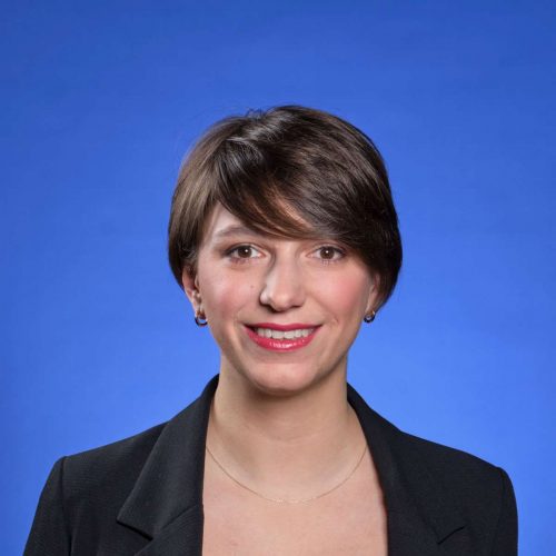 Liberals want integration programme to focus more on basic democratic values