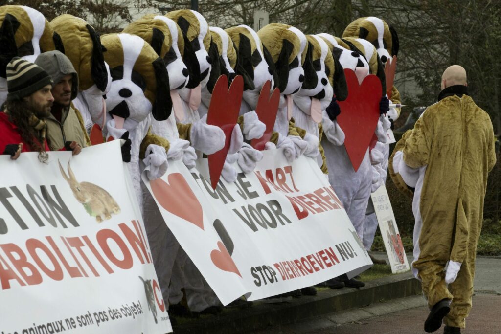 Animal testing in Flanders drops to lowest level in 10 years