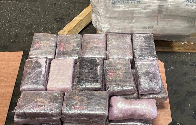 Over two tonnes of cocaine intercepted in the French port of Le Havre