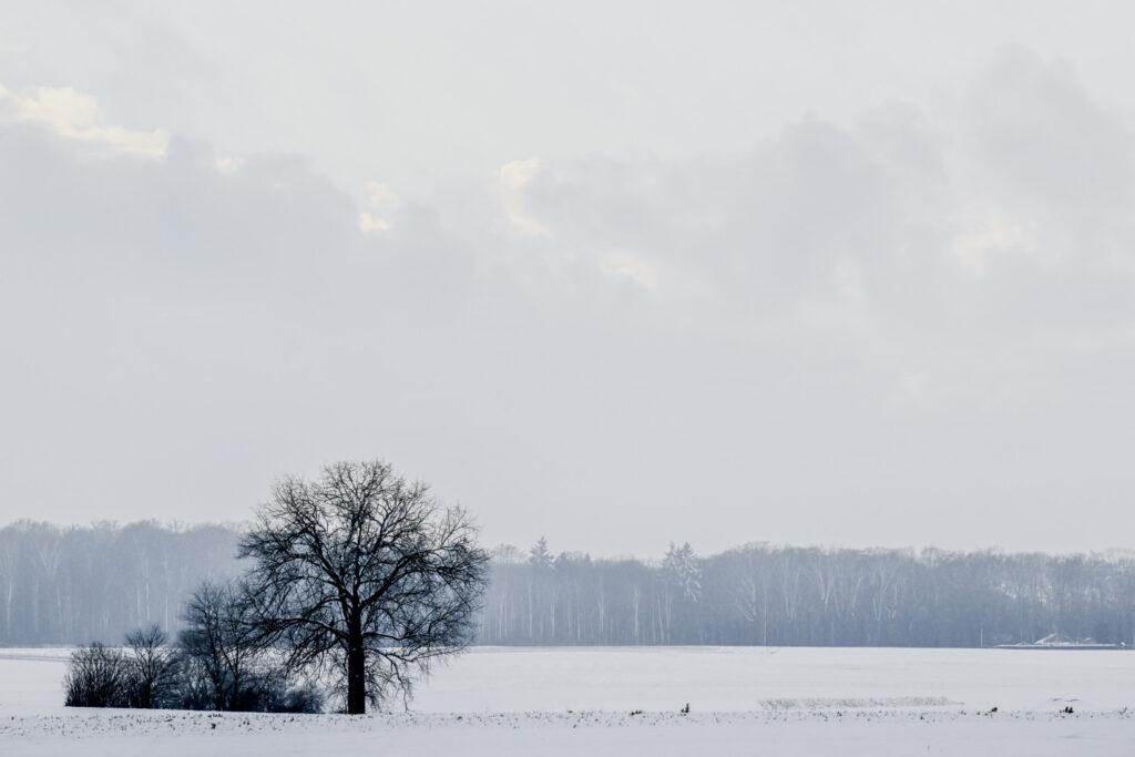 Snow might be on the horizon this weekend in Belgium