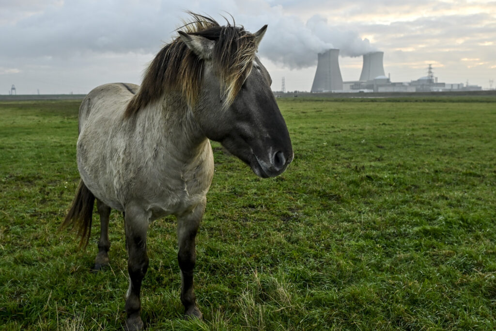 End of the line for Belgium's Doel 1 nuclear reactor