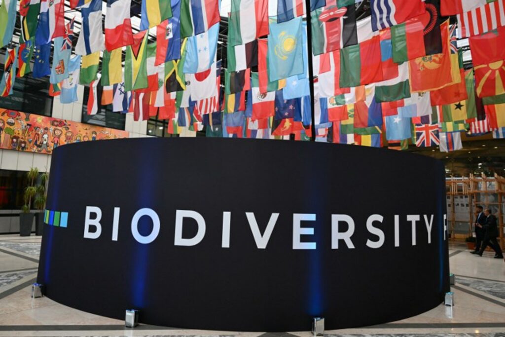Environment: Global biodiversity fund to be financed by private companies