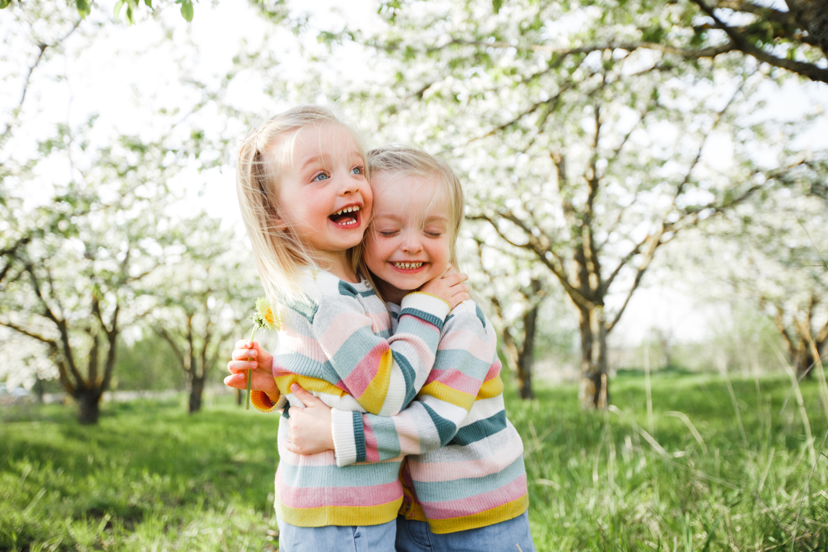 The unseen heroes of foster care