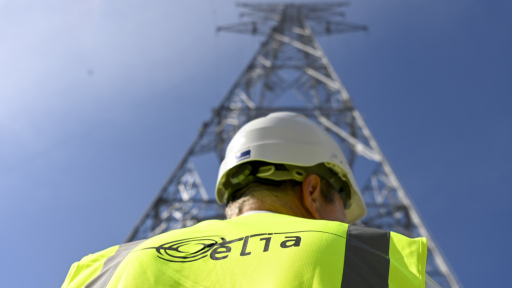 Elia achieved higher than expected net profit in 2024