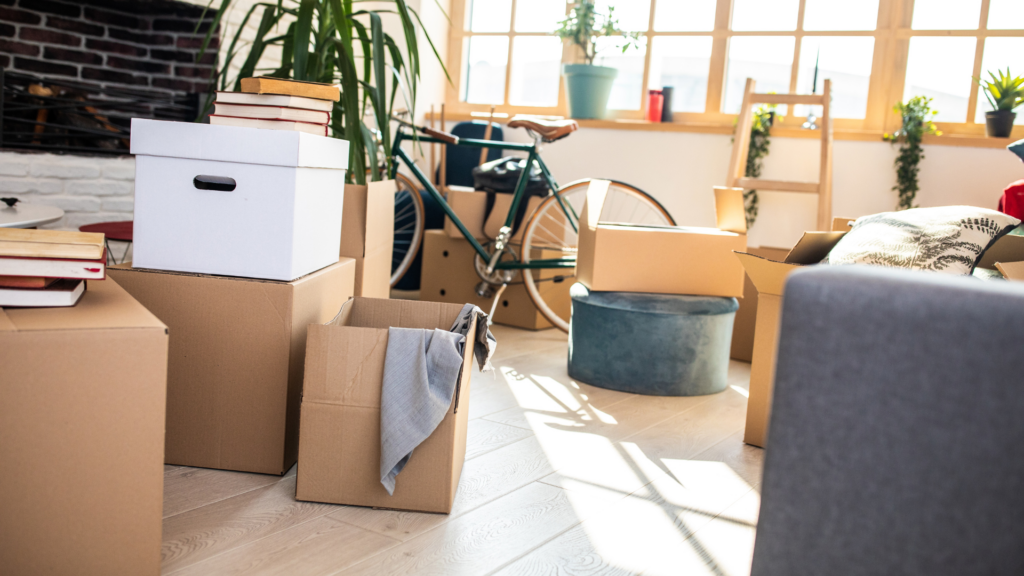 Flying the nest: One in five Belgians don't live alone until they are 30 or older