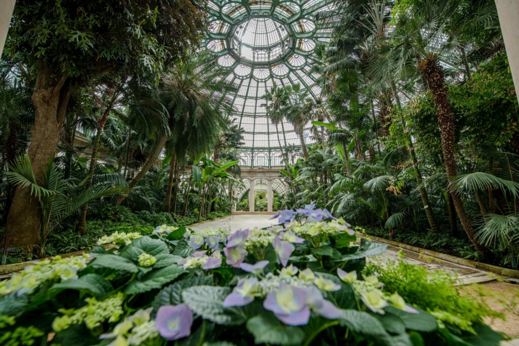 Ticket sales open for the Royal Greenhouses of Laeken