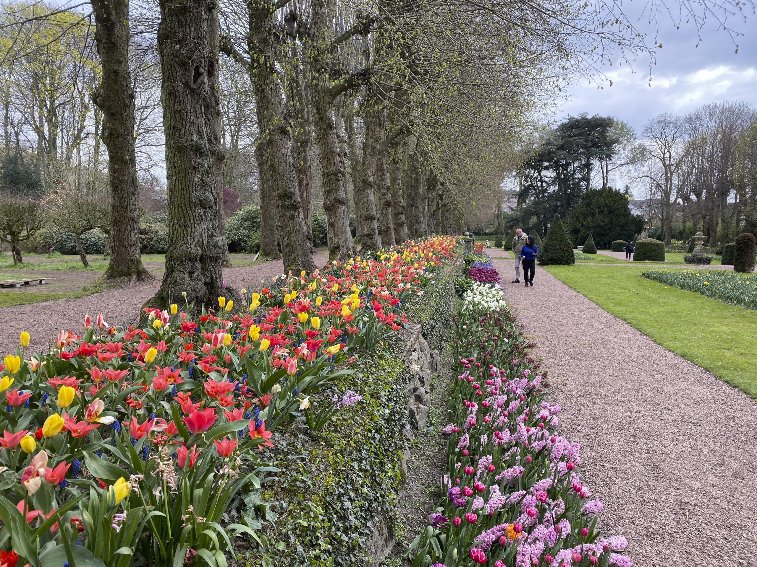The Floralia Tulip Festival, Sunday 03 April 2022, in Groot-Bijgaarden. BELGA PHOTO VIVIANE VAZ
