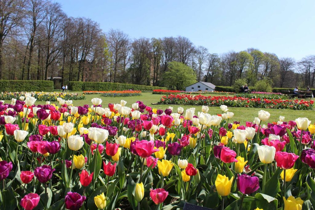 Stunning castle just outside Brussels opens its grounds for spectacular floral display