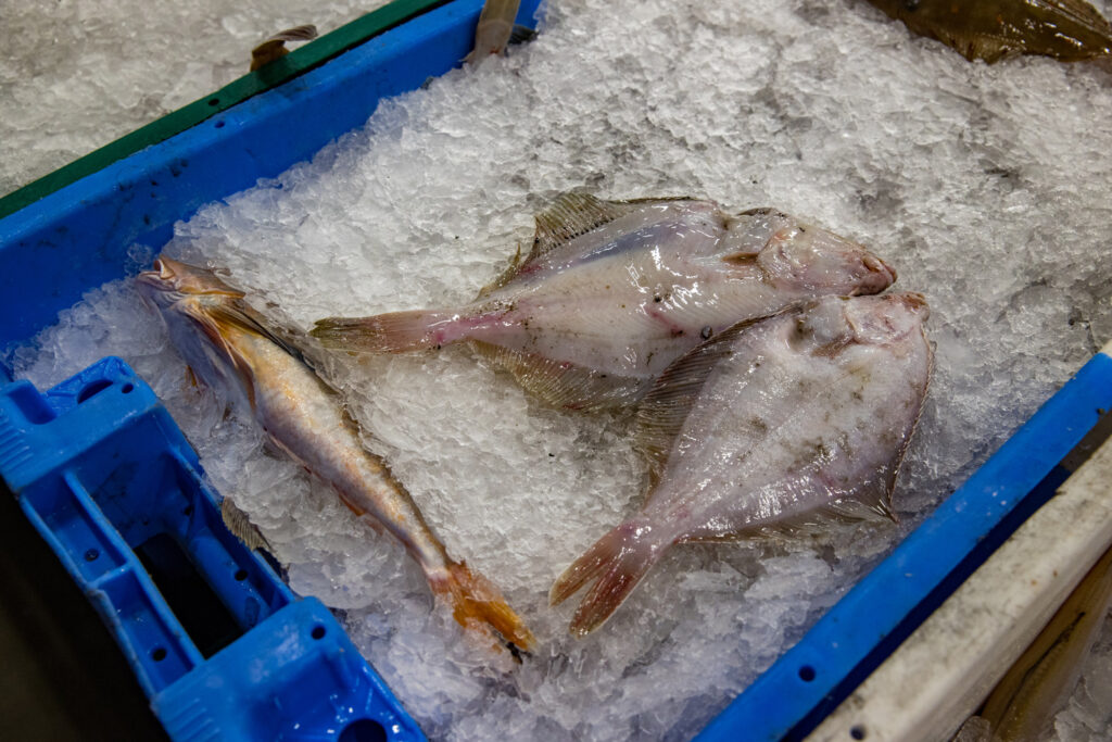 Fewer fish sold in Belgian ports for second year running