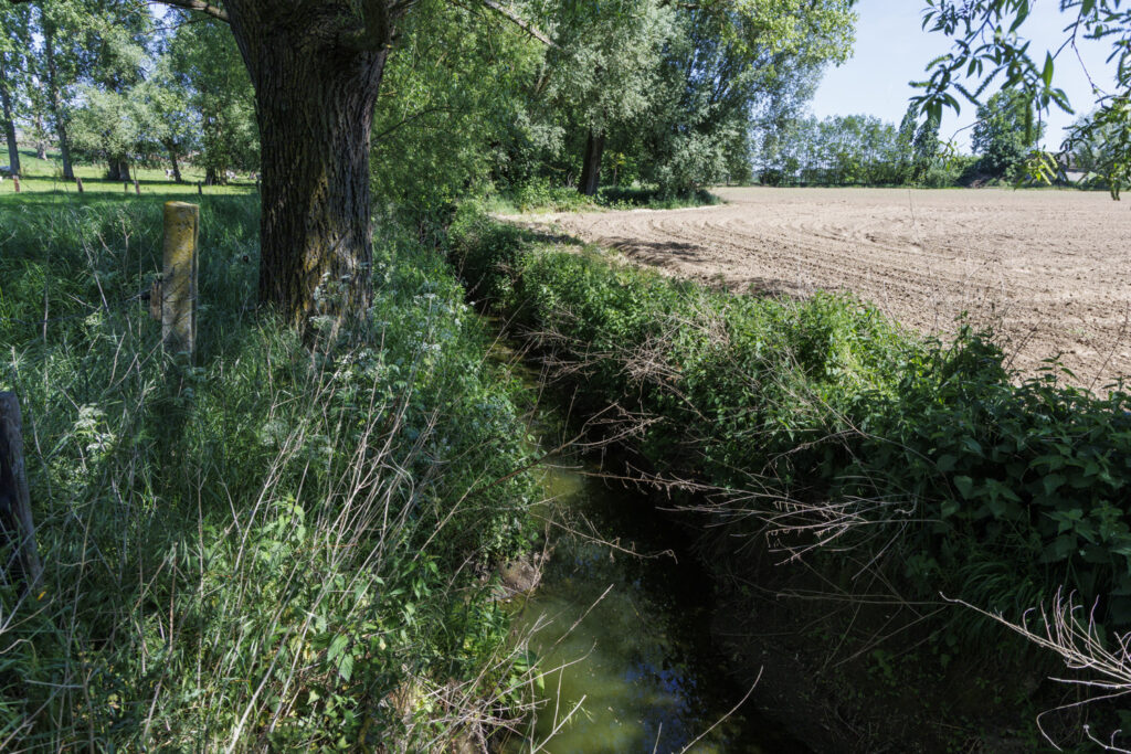 Flanders goes back to code yellow for fire risk