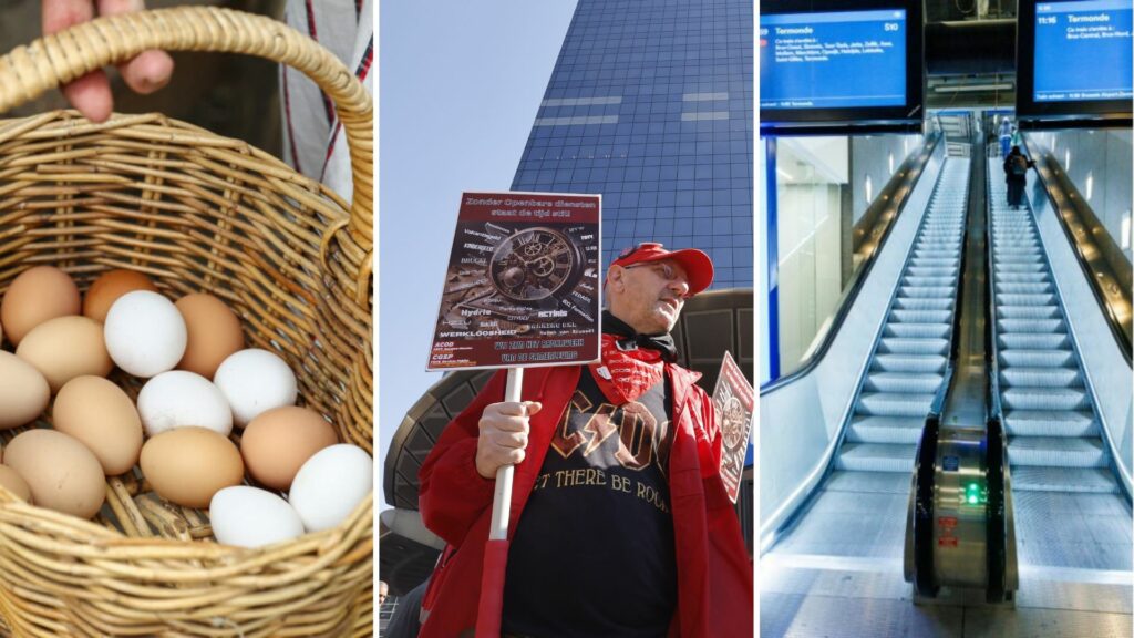 Belgium in Brief: Is there en-oef to go around?