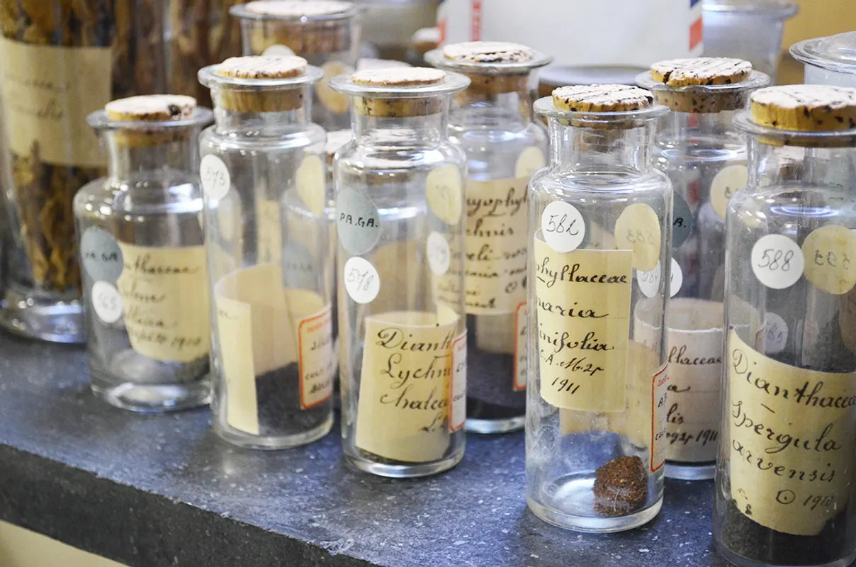 How to store a rainforest in a filing cabinet