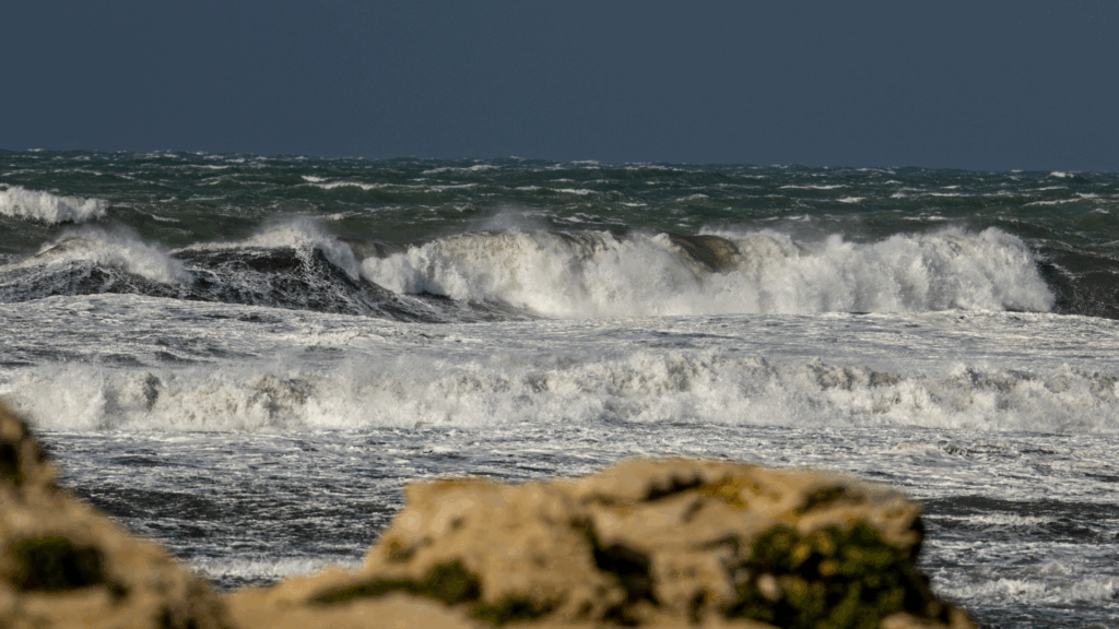 Belgium yet to ratify UN high seas protection agreement