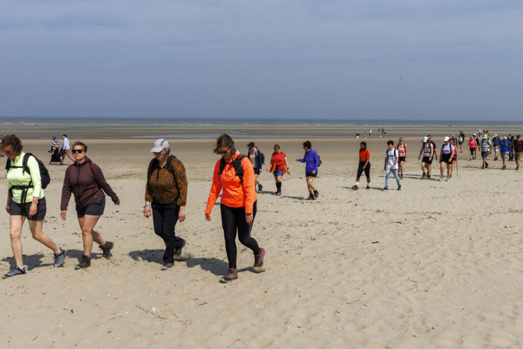 Belgian Coast Walk will welcome record 11,000 participants on Saturday