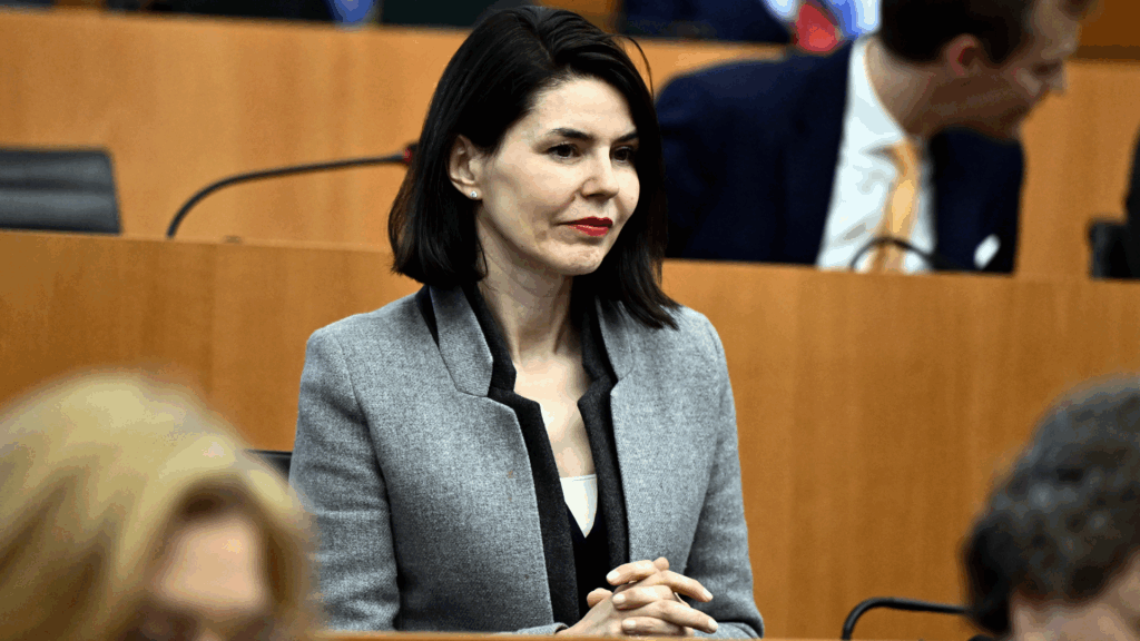 Socialists denounce definition of support for pupils with disability