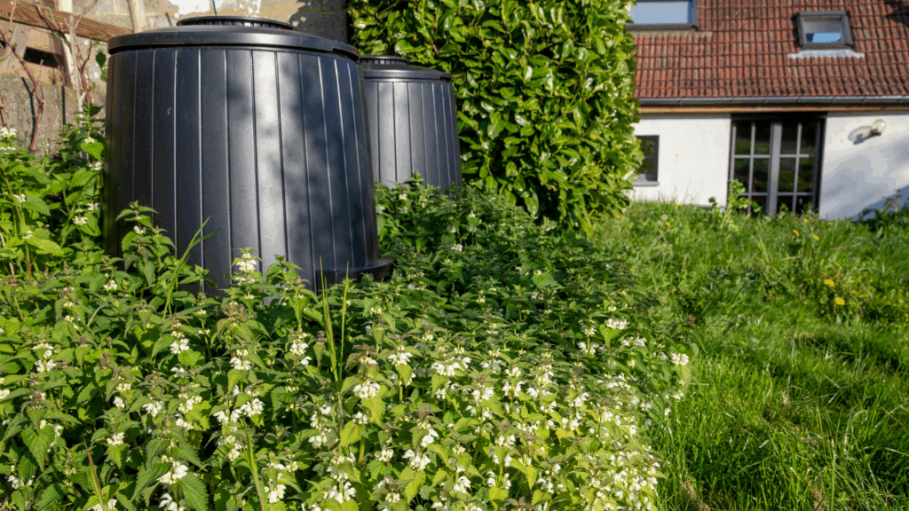 Flower garden kicks off 'Compost Days' at Rogier metro station