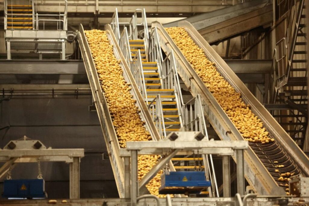 Clarebout Potatoes said to be close to an alliance with US multinational