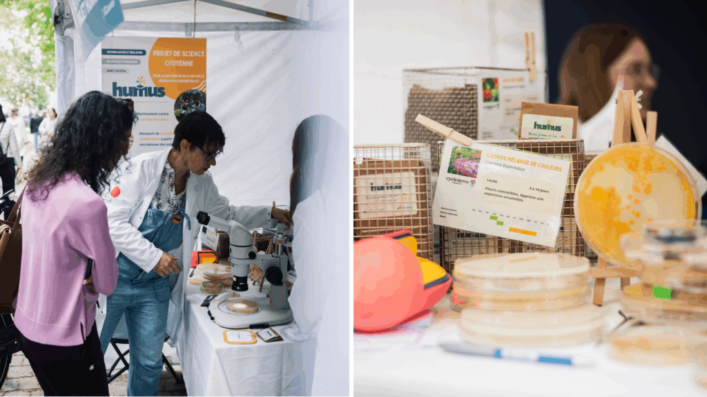 Brussels' HUMUS Project to develop 'antibiotics of tomorrow'