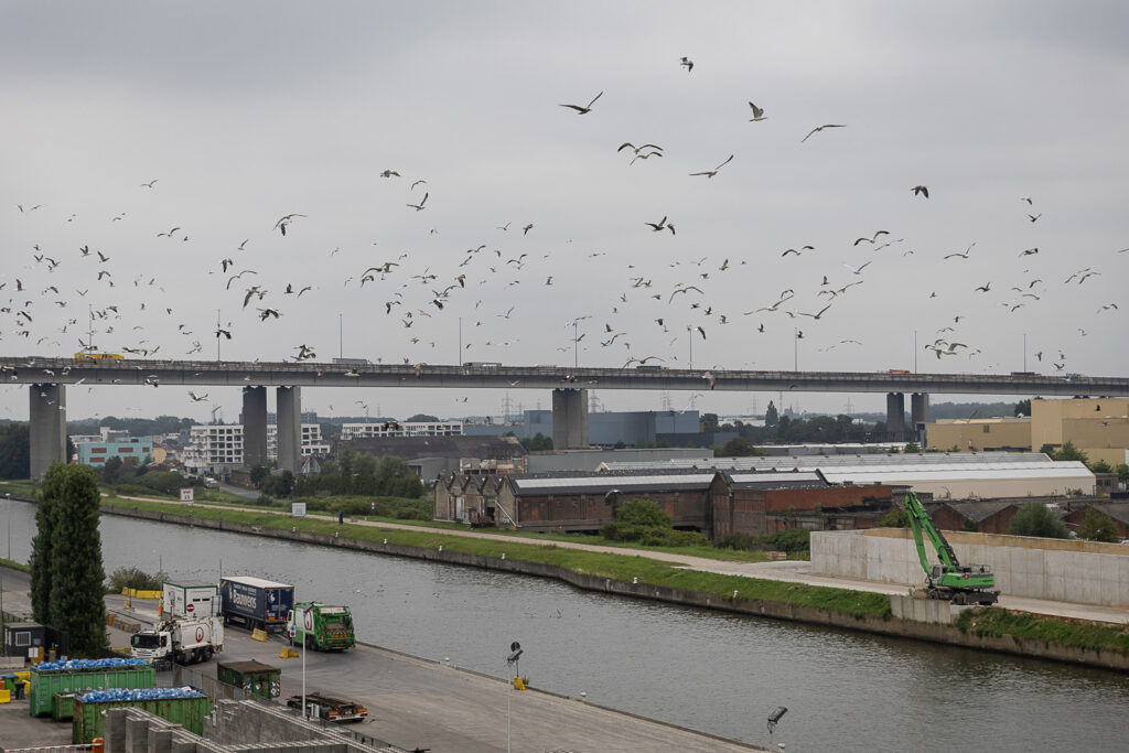 Over 130 construction sites open doors