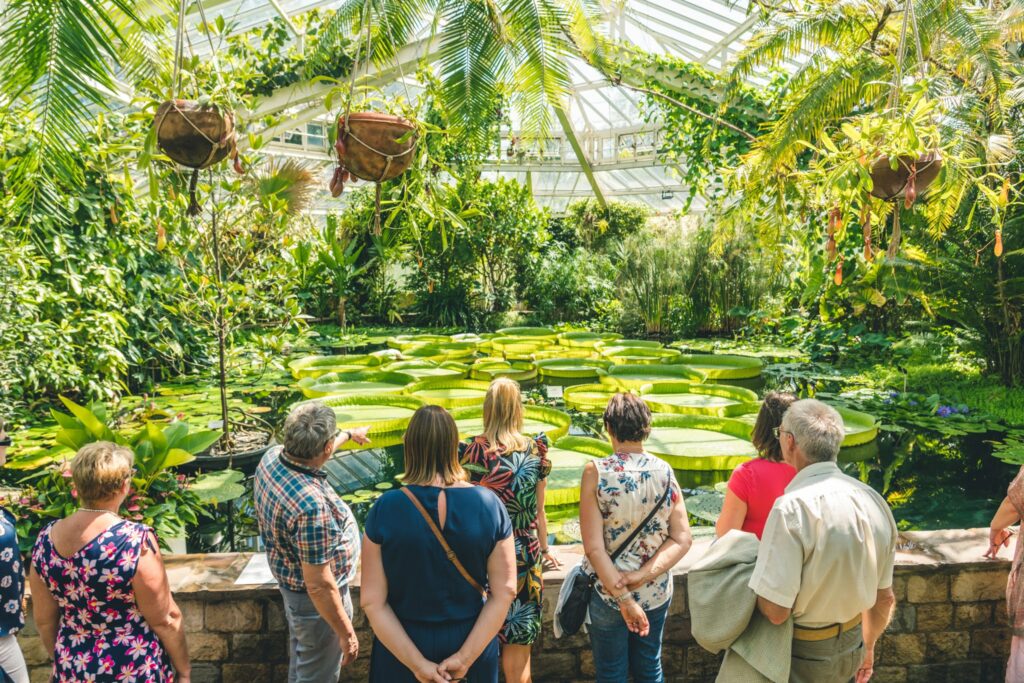 Flemish minister promotes community gardens initiative