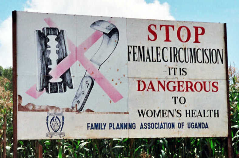 NGO launches awareness campaign against genital mutilation