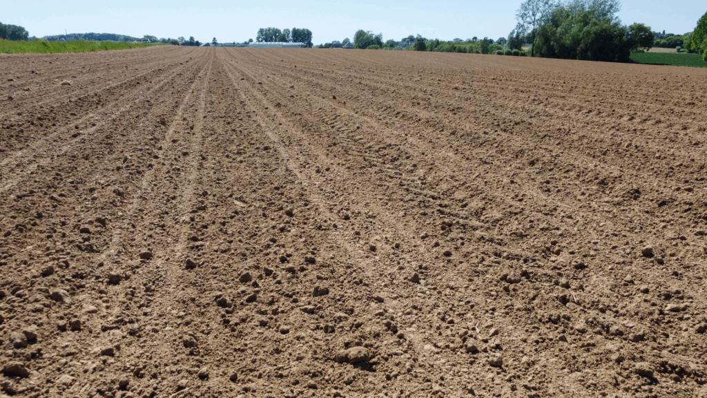 Belgium's water 'roulette': Extreme weather complicates water resilience