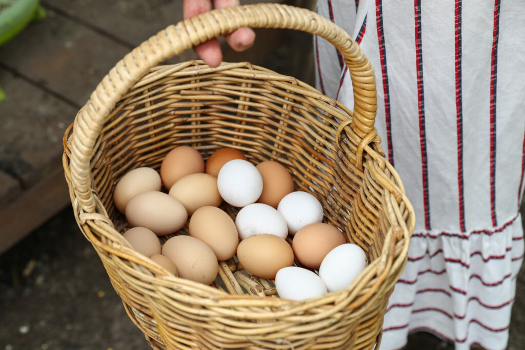 En-oeuf eggs to go around? Popularity on the rise in Belgium