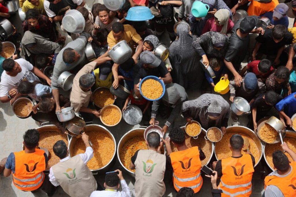 Humanitarian aid is on the brink of total collapse in Gaza, Red Cross warns