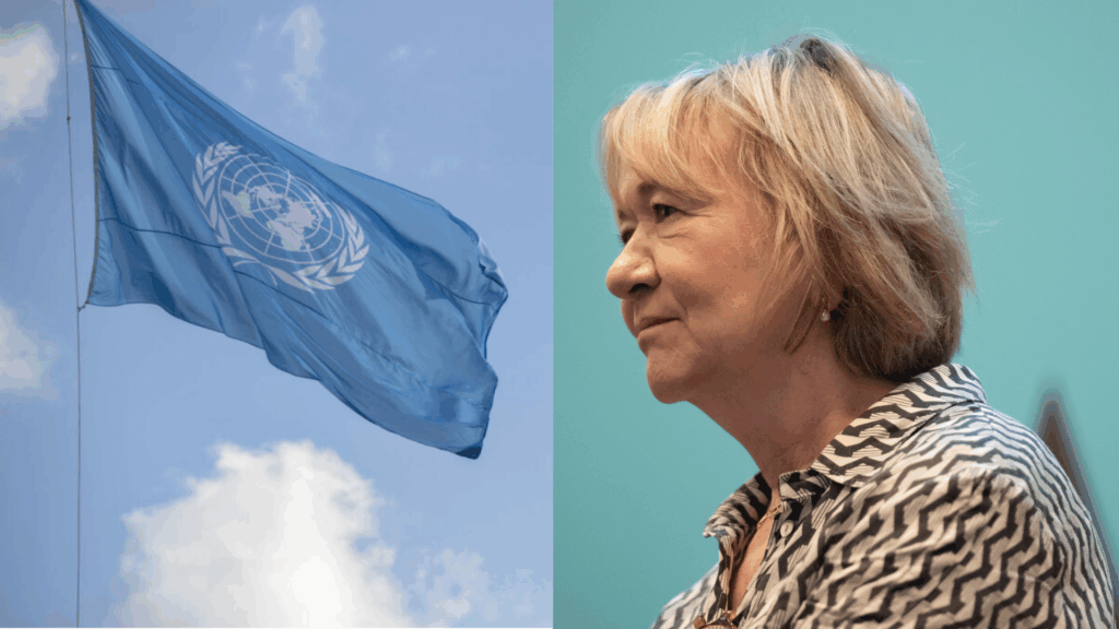 UN Reform: 'In every crisis, an opportunity', says Belgian Foreign Affairs DG