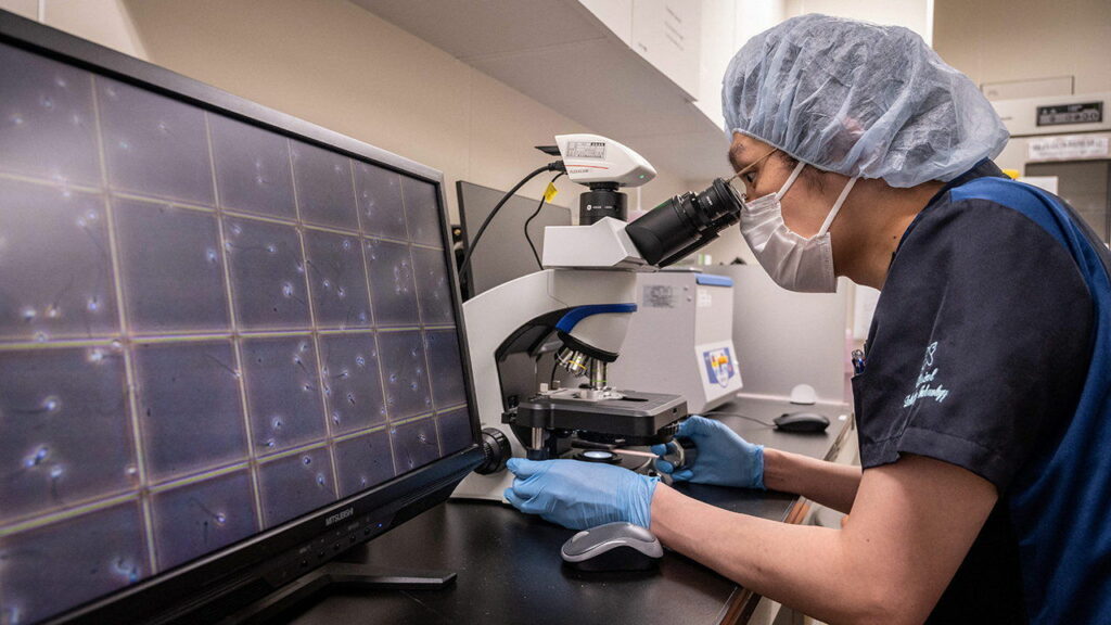 Sperm donor may have passed on cancer-causing gene to 52 Belgian children