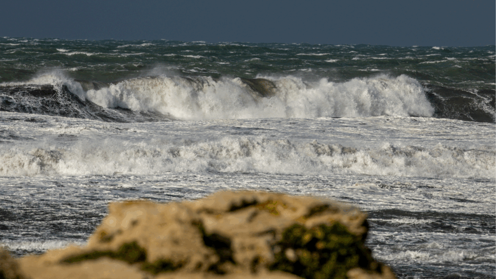 Belgium set to ratify UN high seas protection treaty