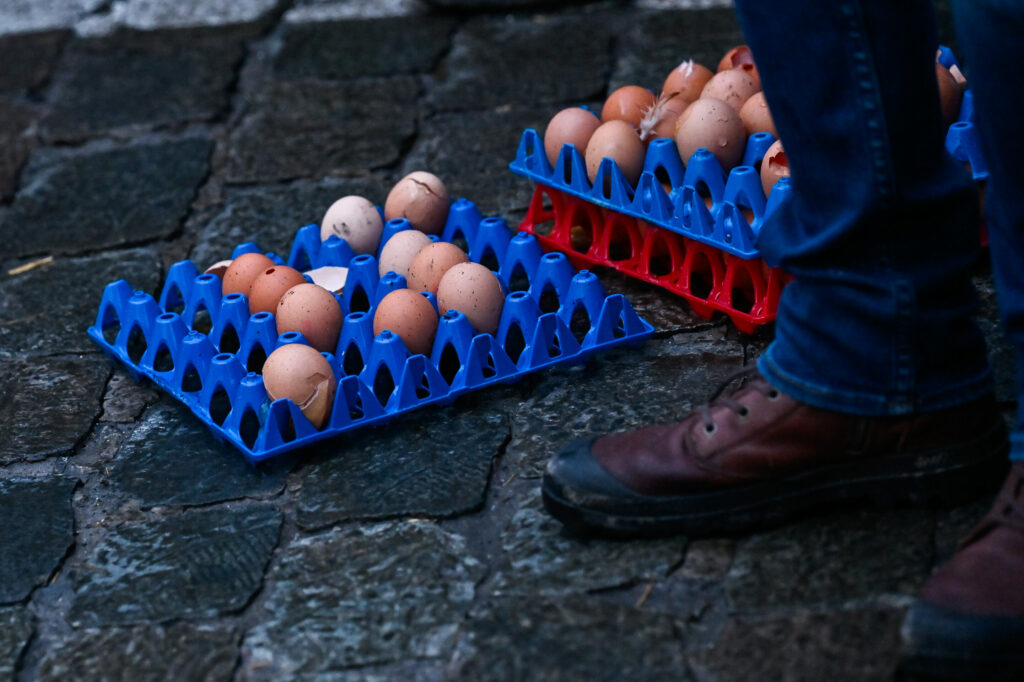 Do not eat eggs in PFAS-contaminated areas, Walloons told