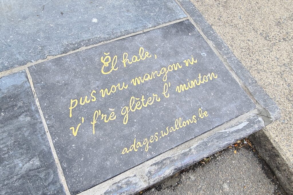 Liège city centre adorned with Walloon paving stones