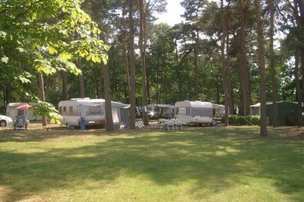 Reopened Molenheide Dune Park shows renewed landscape