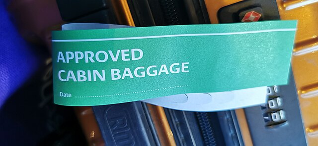 European legislators want free extra hand luggage for air passengers