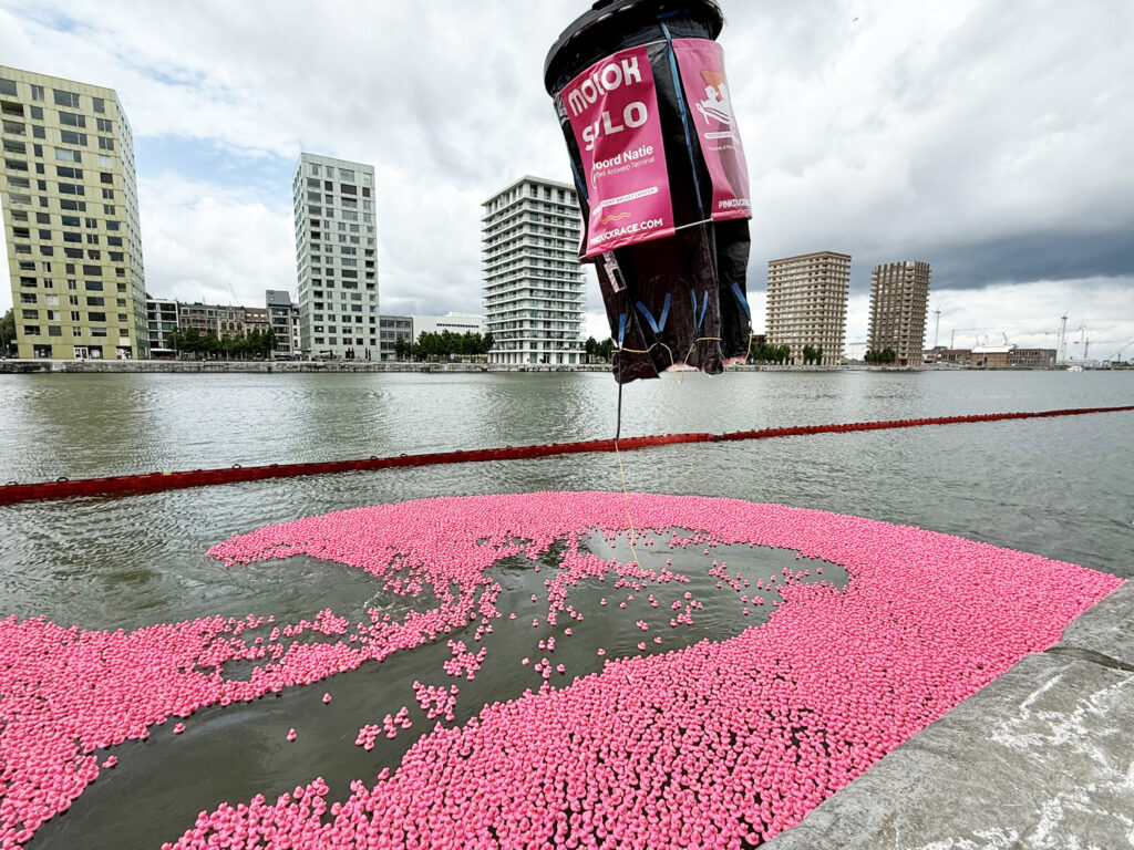 Twenty thousand pink ducks released in Antwerp to draw attention to breast cancer